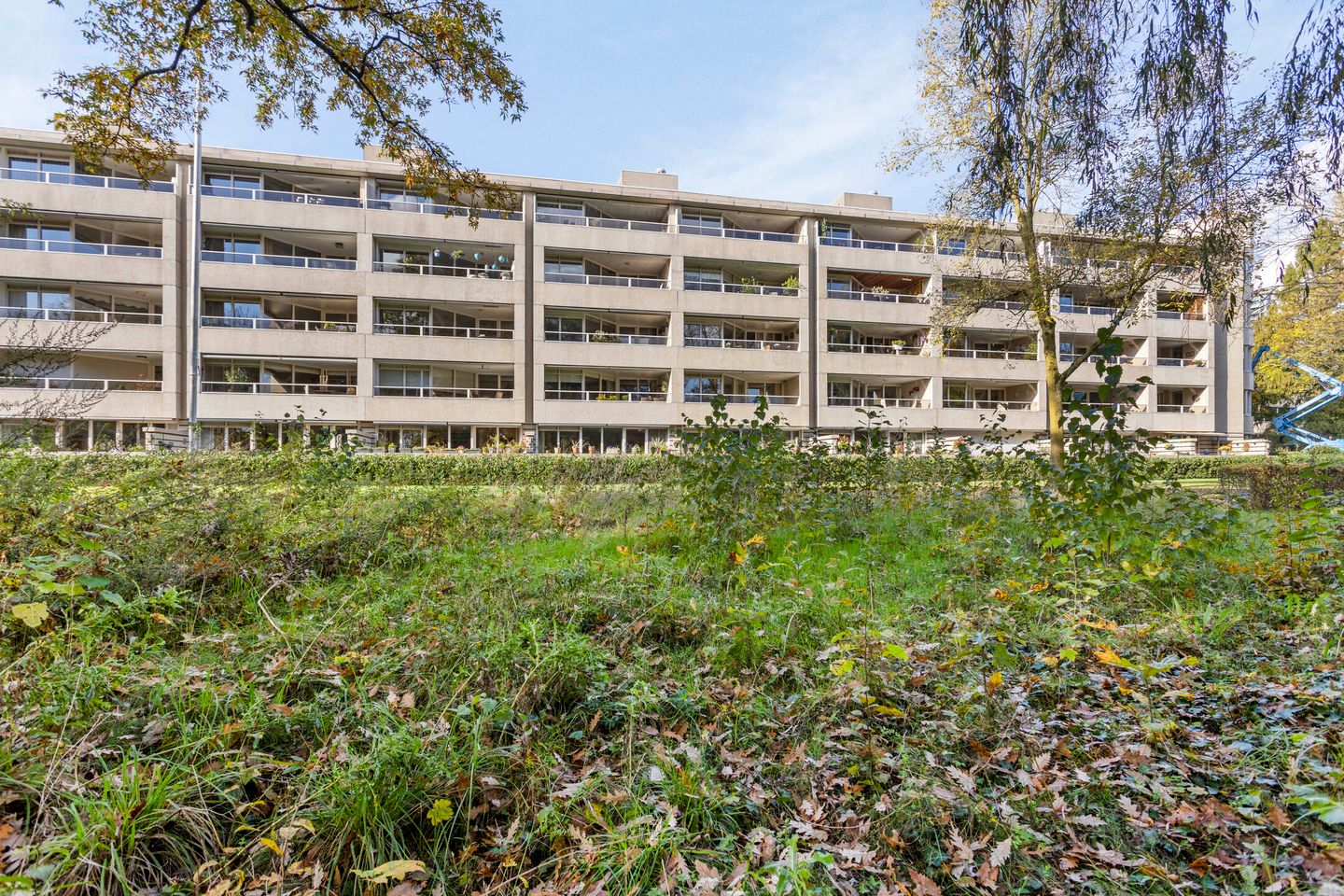 Foto 1 van Groot Paradijs 45