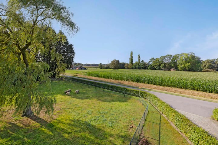 Foto 58 van Schans 3