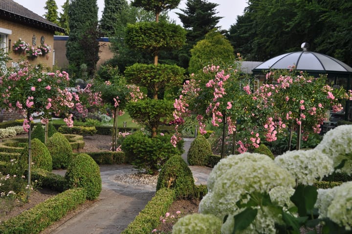 Foto 59 van Daalzicht 15