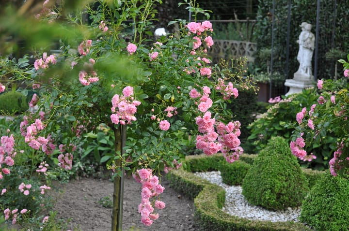 Foto 60 van Daalzicht 15