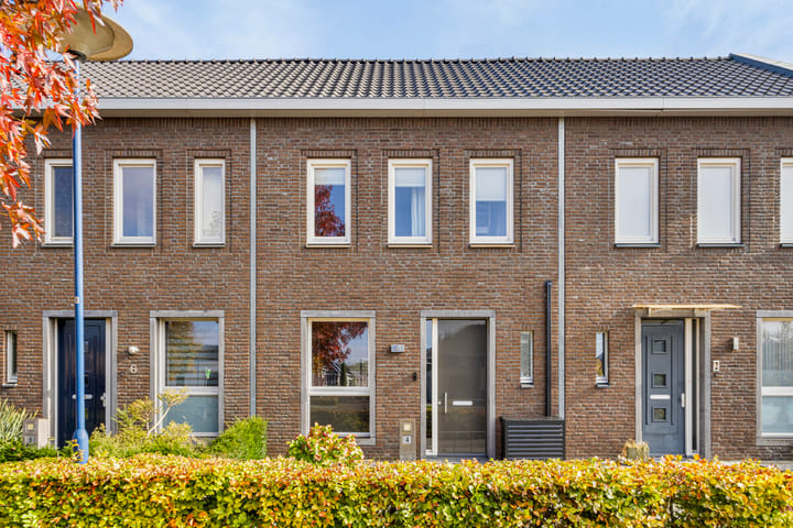 Foto 6 van Wollegras 4