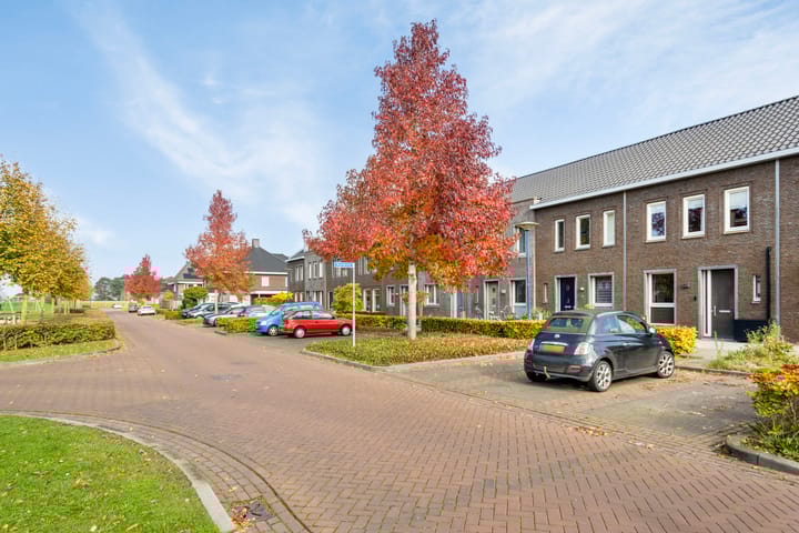 Foto 38 van Wollegras 4