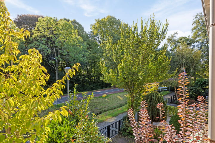 Foto 32 van Mastbos 565