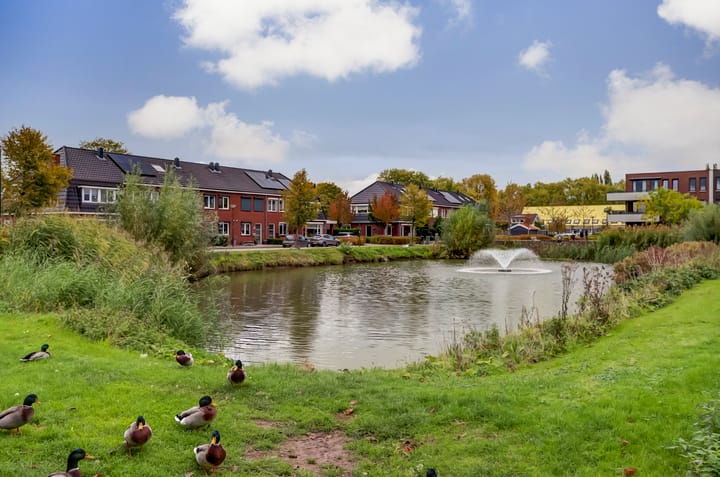 Photo 34 of De Poort 5