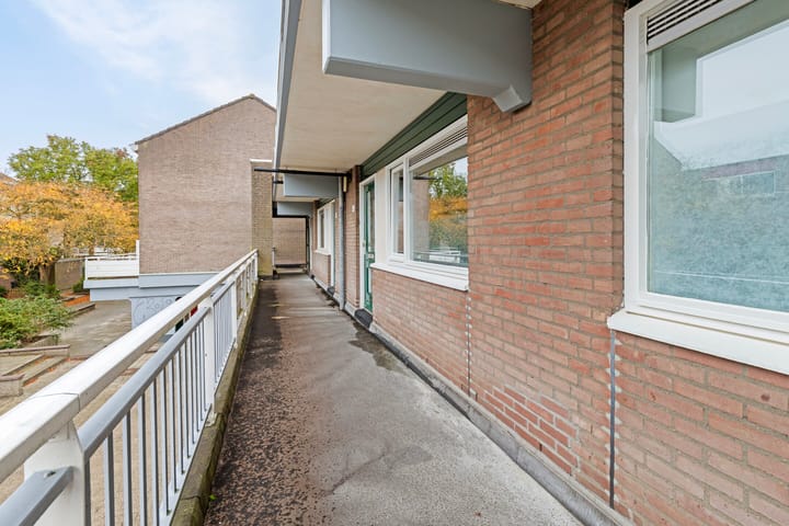 Foto 6 van Waterman 40