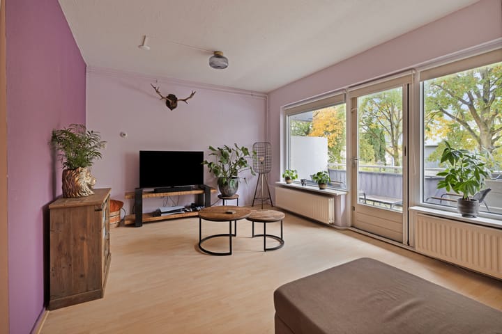 Foto 9 van Waterman 40