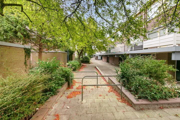 Foto 26 van Waterman 40