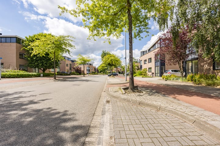 Foto 33 van Sprookjesbosch 96