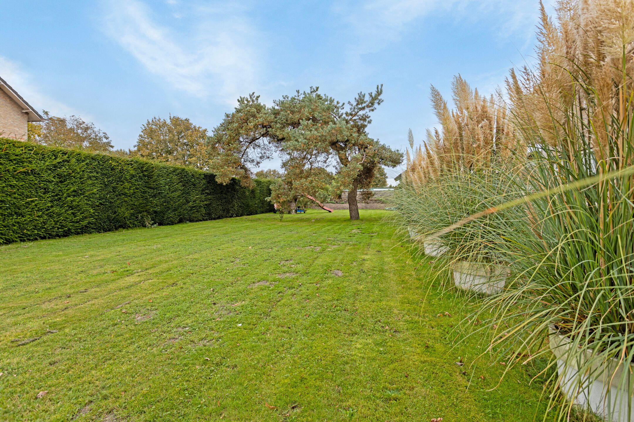 Foto 42 van Voor-Oventje 34