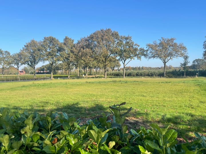 Foto 53 van Rucphenseweg 16