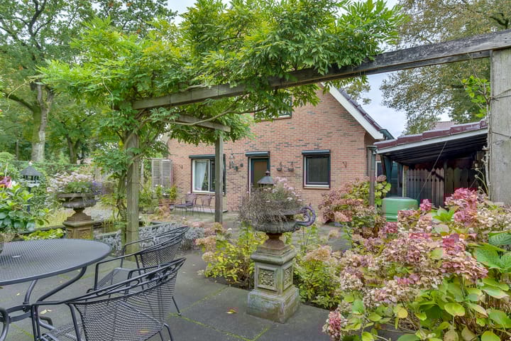 Foto 47 van De Höfte 31