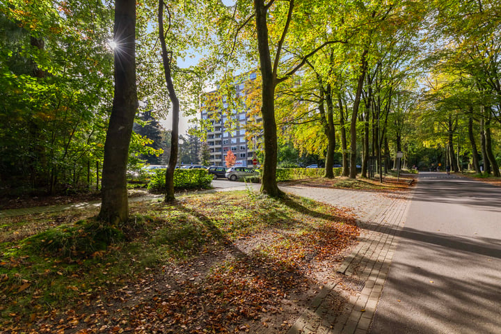 Bekijk foto 21 van Soerenseweg 125-102