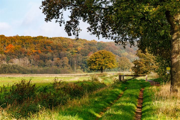 Bekijk foto 68 van Gagelveld 37