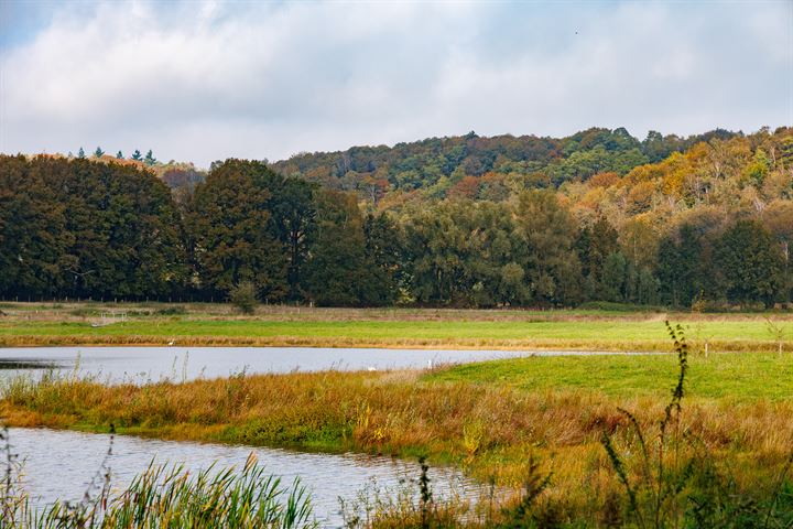 Bekijk foto 69 van Gagelveld 37