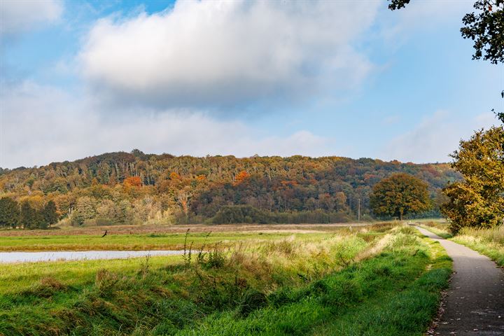 Bekijk foto 70 van Gagelveld 37