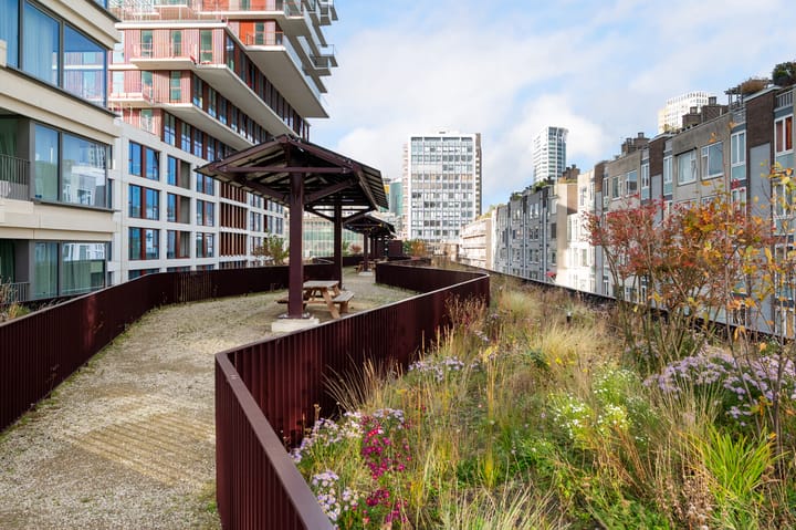 Foto 26 van Baan 46-M