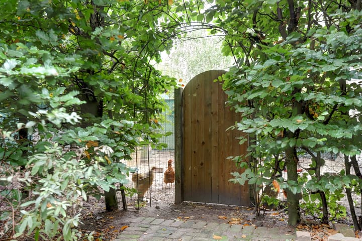 Photo 62 of Meijelseweg 58