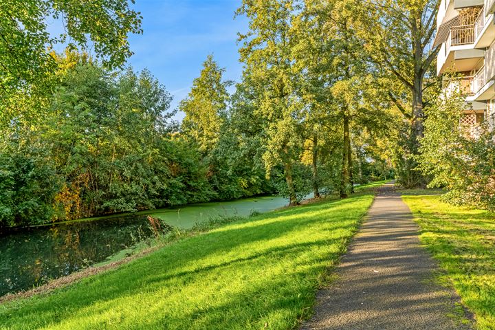 View photo 31 of Lijsterbesstraat 254