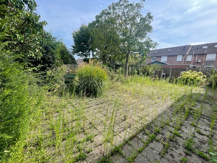 Foto 28 van Olmstraat 42