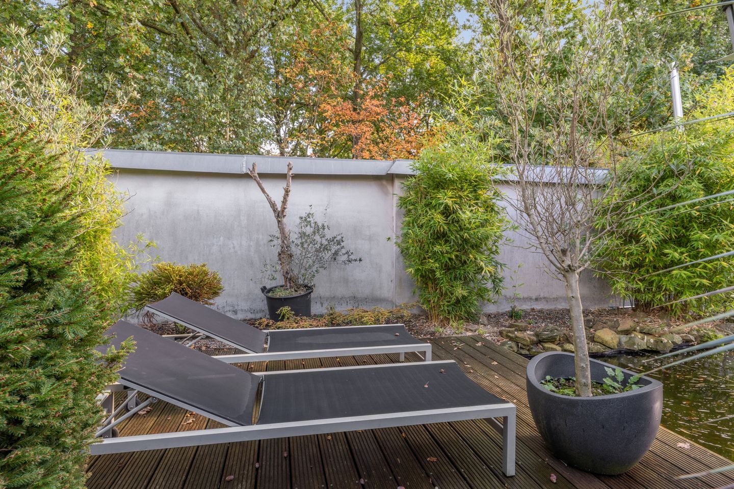 Foto 49 van Henegouwenlaan 17