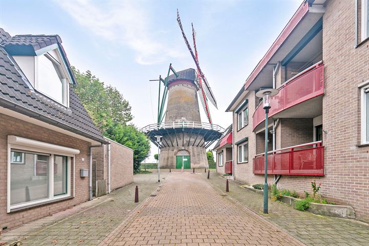 Bekijk foto 1 van Molenstraat 68