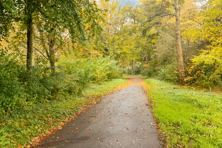 Foto 33 van Hommelmeent 116