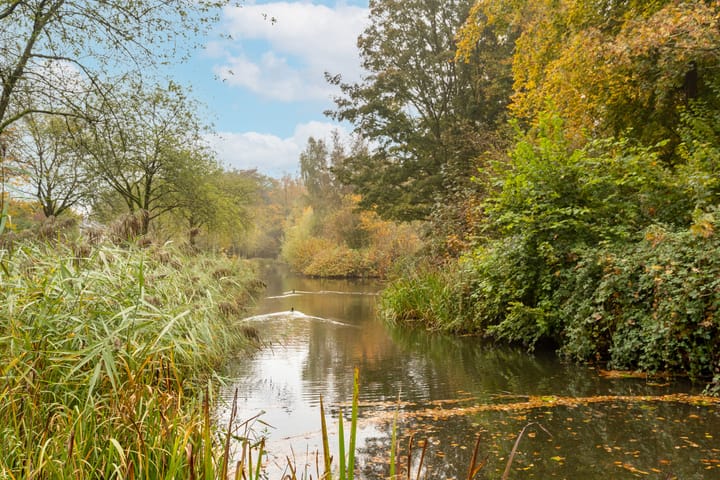 Foto 34 van Hommelmeent 116