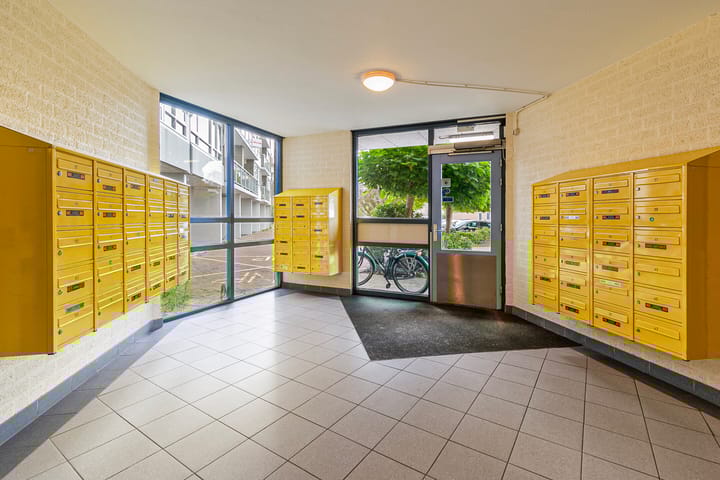 Foto 5 van Madridplantsoen 171