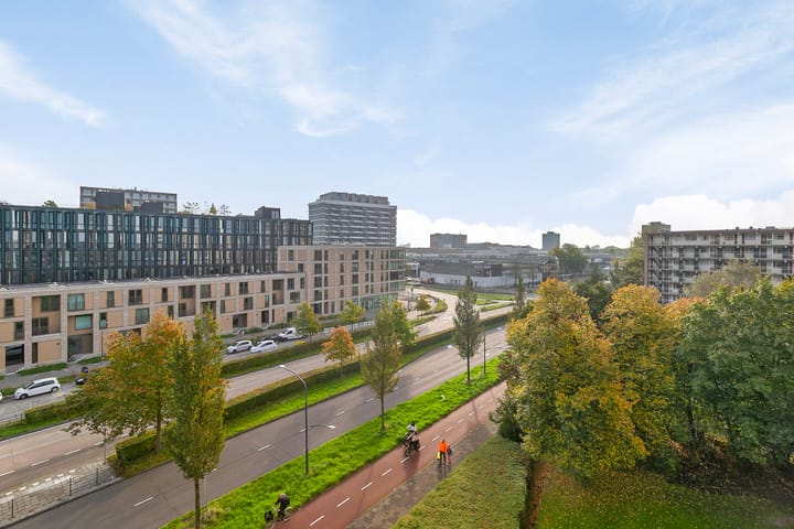 Foto 23 van Madridplantsoen 171