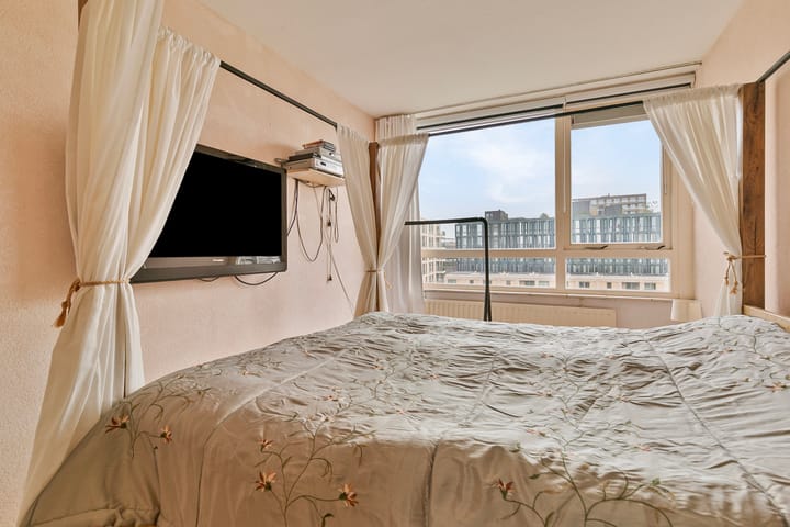 Foto 25 van Madridplantsoen 171