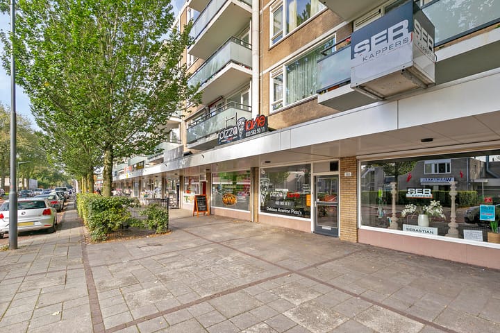 Foto 33 van Madridplantsoen 171