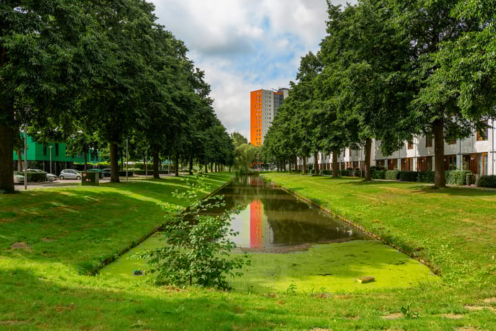 Foto 51 van Ruisvoornpad 57