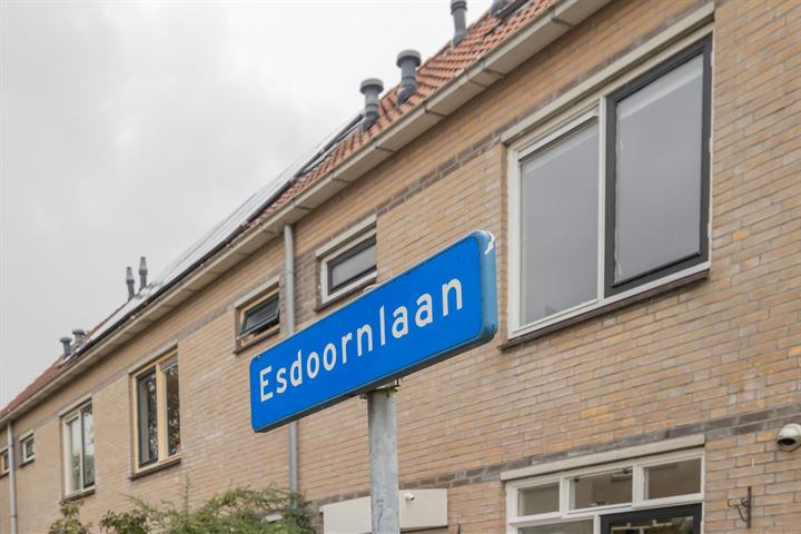 Bekijk foto 32 van Esdoornlaan 15