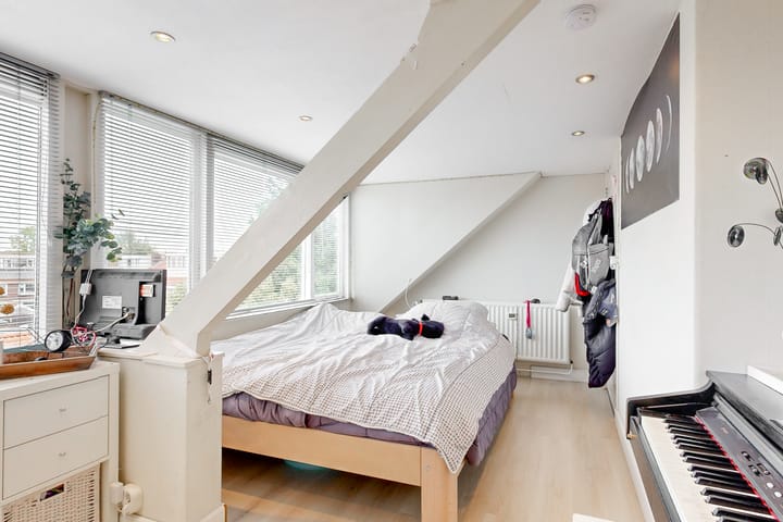 Foto 31 van Spanjaardslaan 11