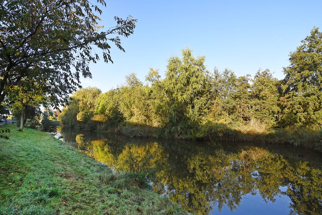 Foto 7 van Bostonsingel 40