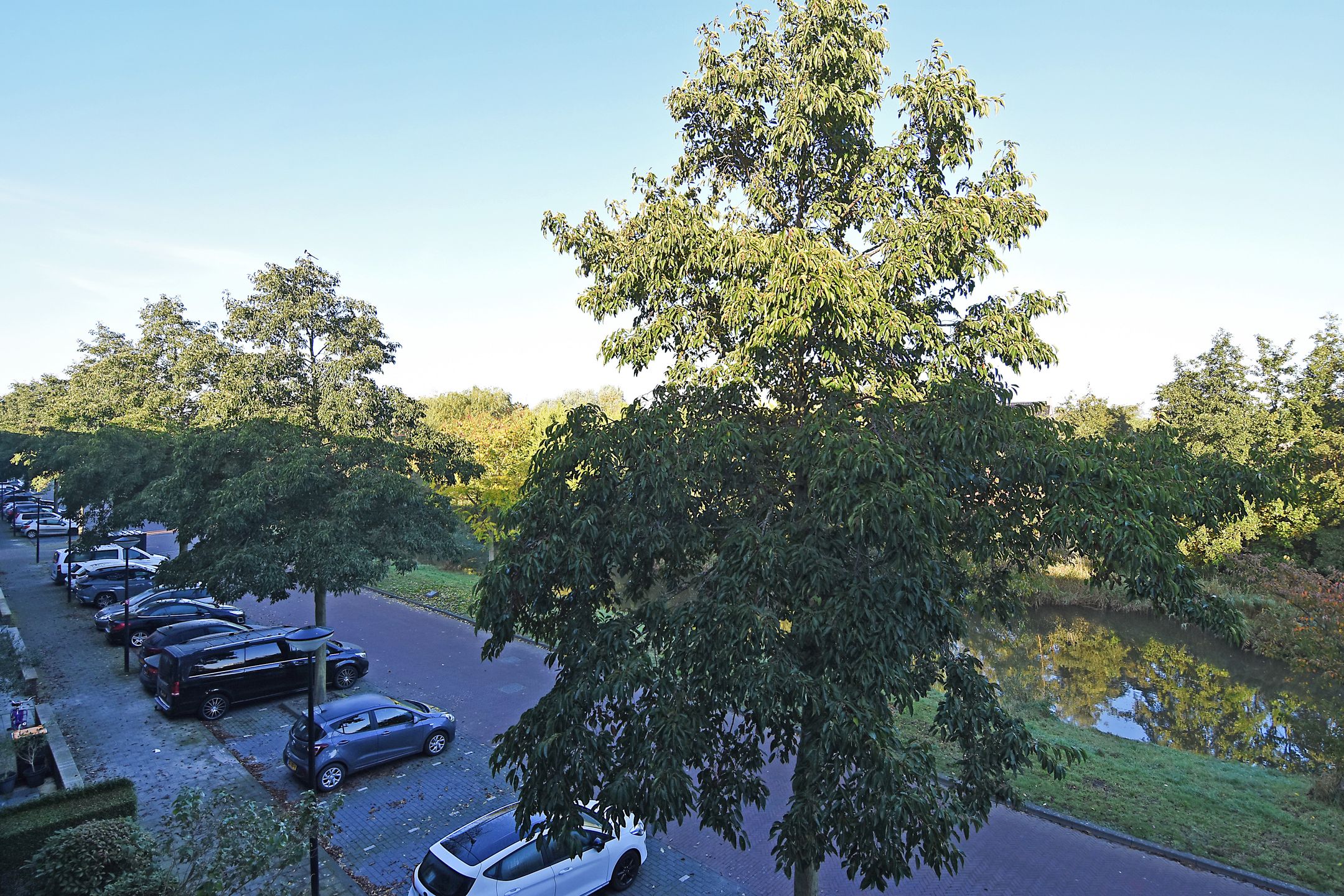 Foto 57 van Bostonsingel 40