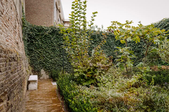 Foto 38 van Waterstraat 44