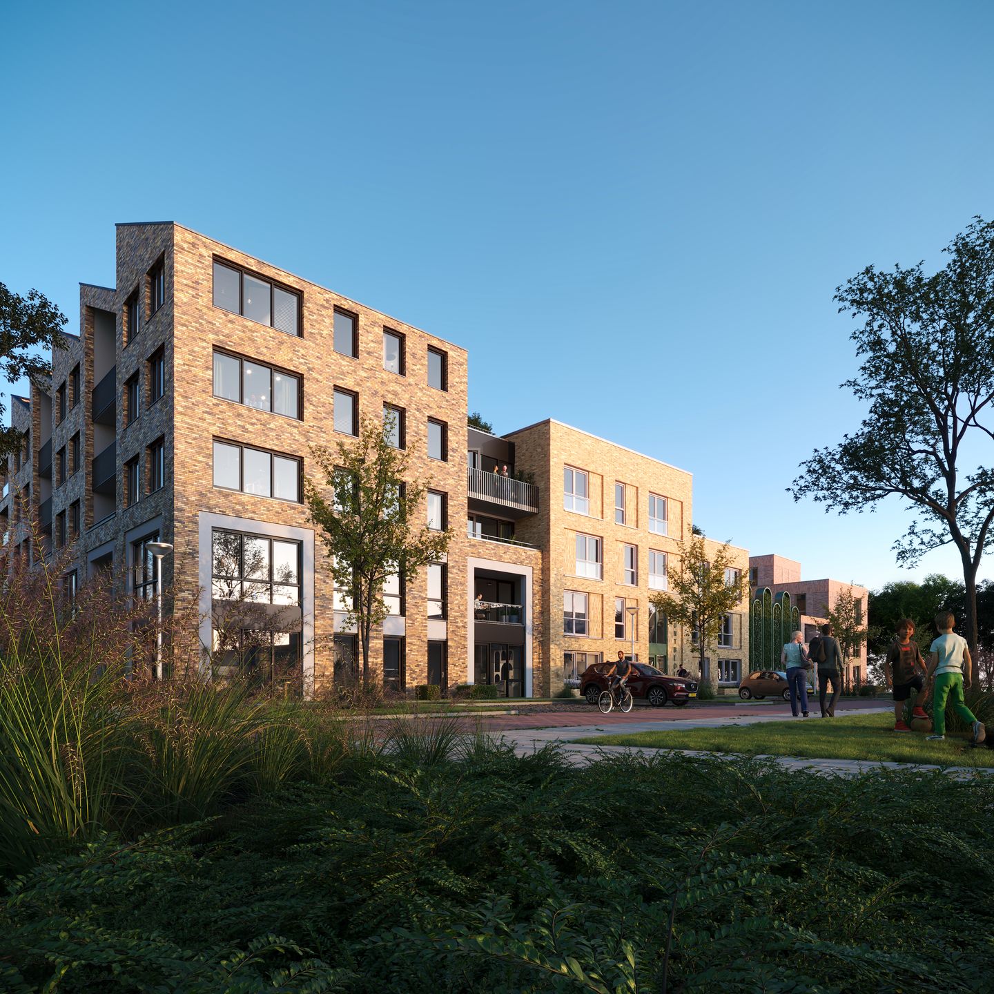 Photo 5 of Muntbloem