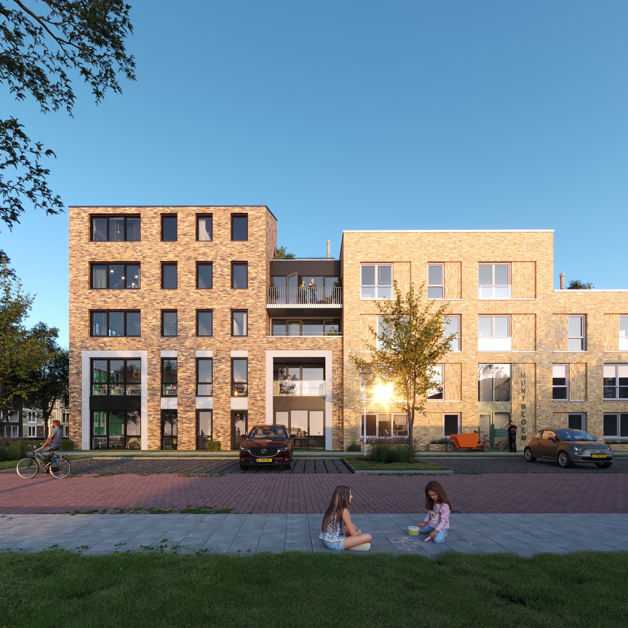 Foto 6 van Muntbloem