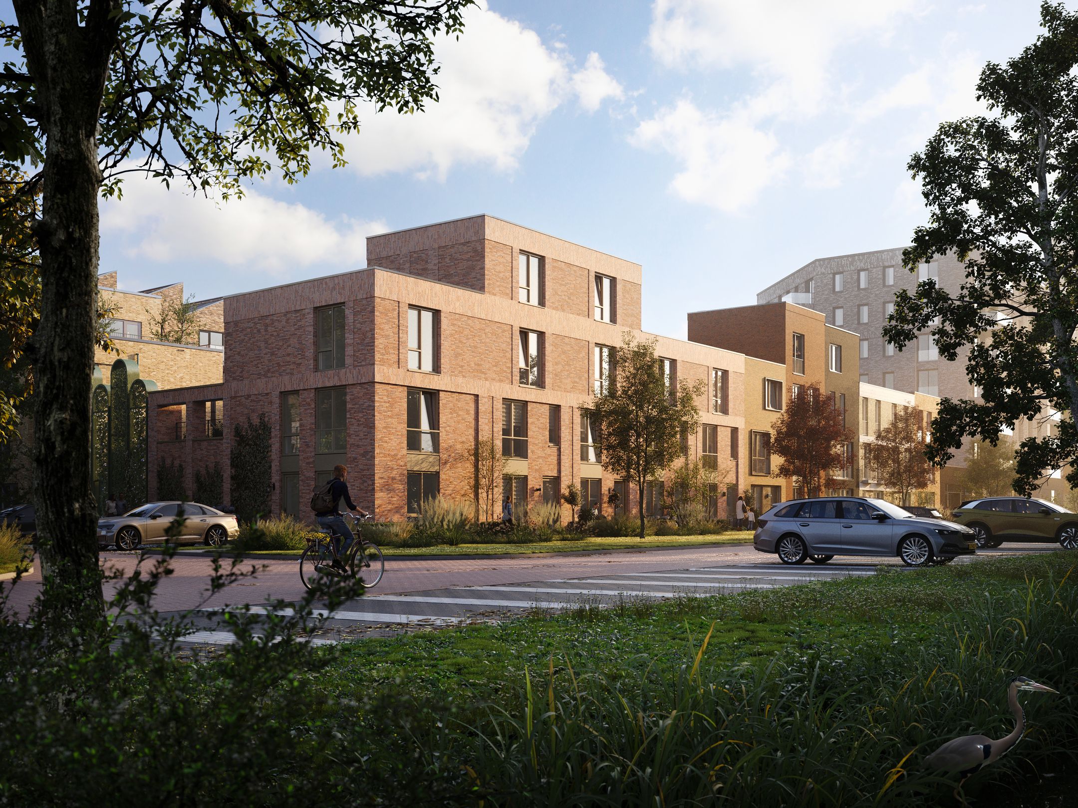 Foto 7 van Muntbloem