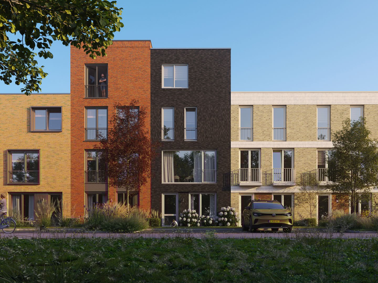 Photo 8 of Muntbloem