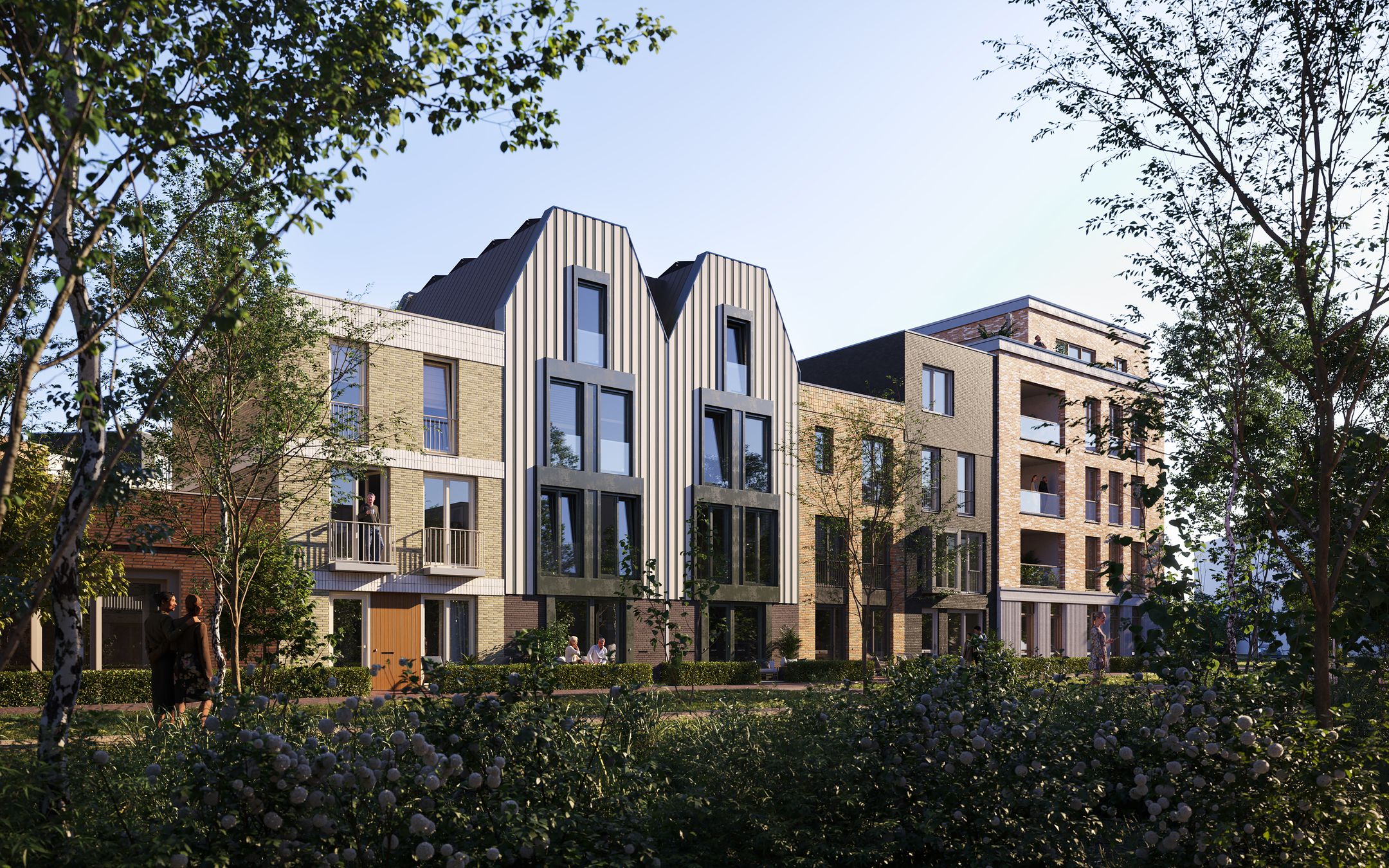 Foto 10 van Muntbloem