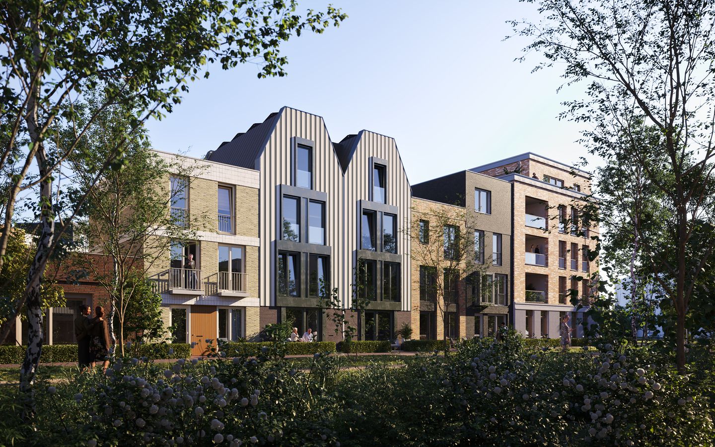 Photo 10 of Muntbloem