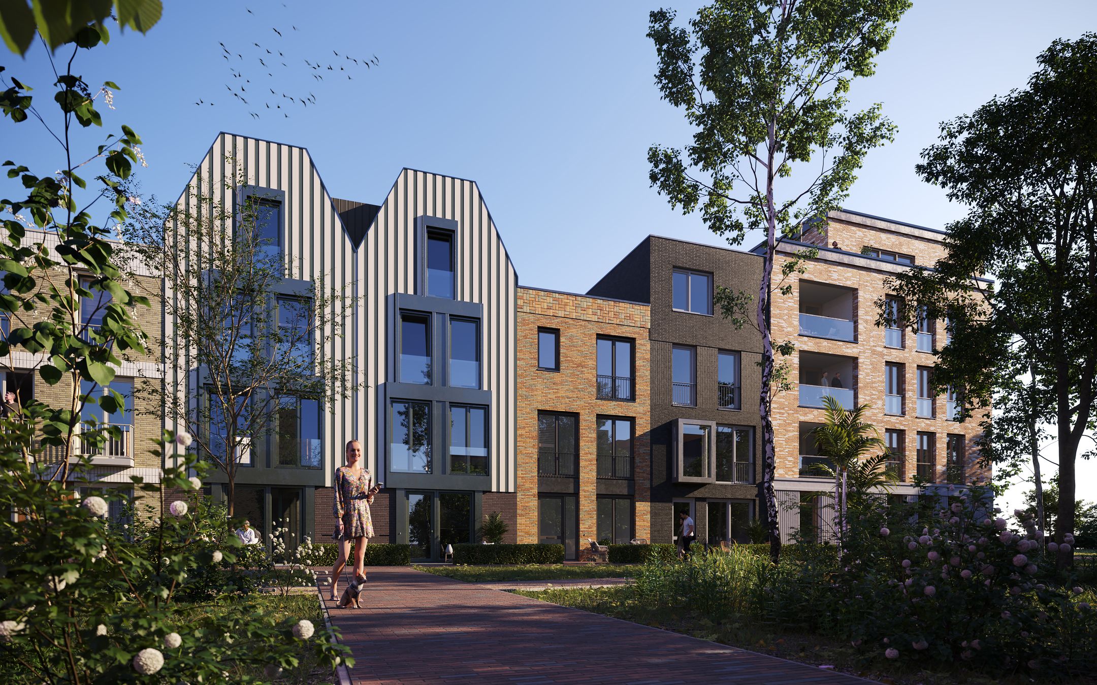 Foto 11 van Muntbloem