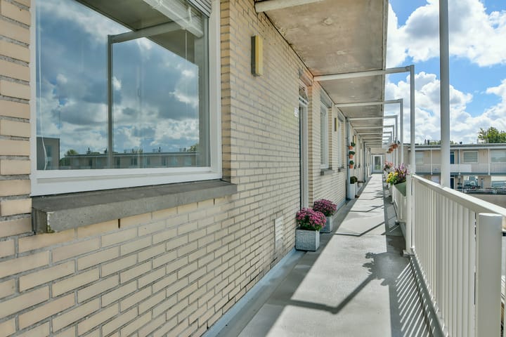 Foto 11 van Muiderbos 20