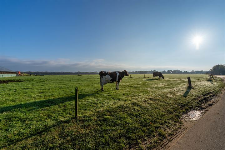 Bekijk foto 9 van de Steeg 8-A