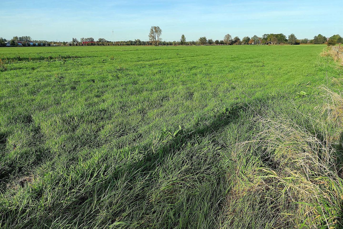 Bekijk foto 2 van Hilsdijk