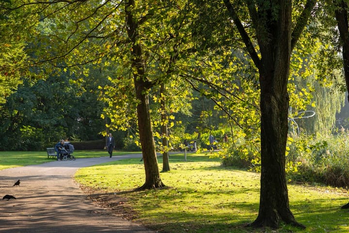 Foto 28 van Pieter Vlamingstraat 52-E