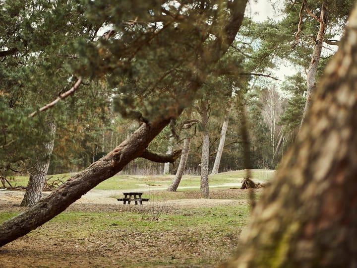 Foto 18 van Brigadelaan 11