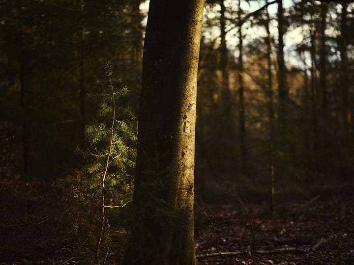 Foto 19 van Brigadelaan 11